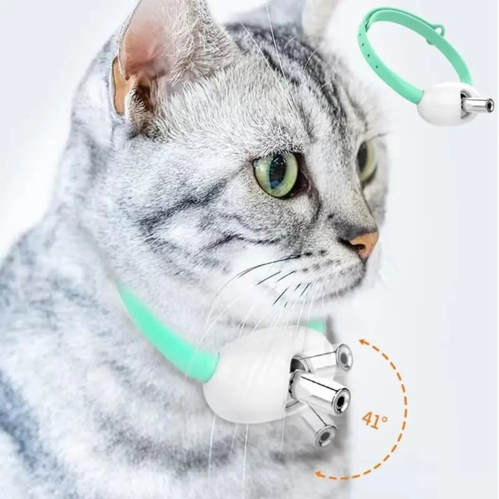 Collier laser pour chat